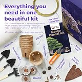 Grow Buddha Master Bonsai Growing Kit - Six Seed Indoor Bonsai Set view 3