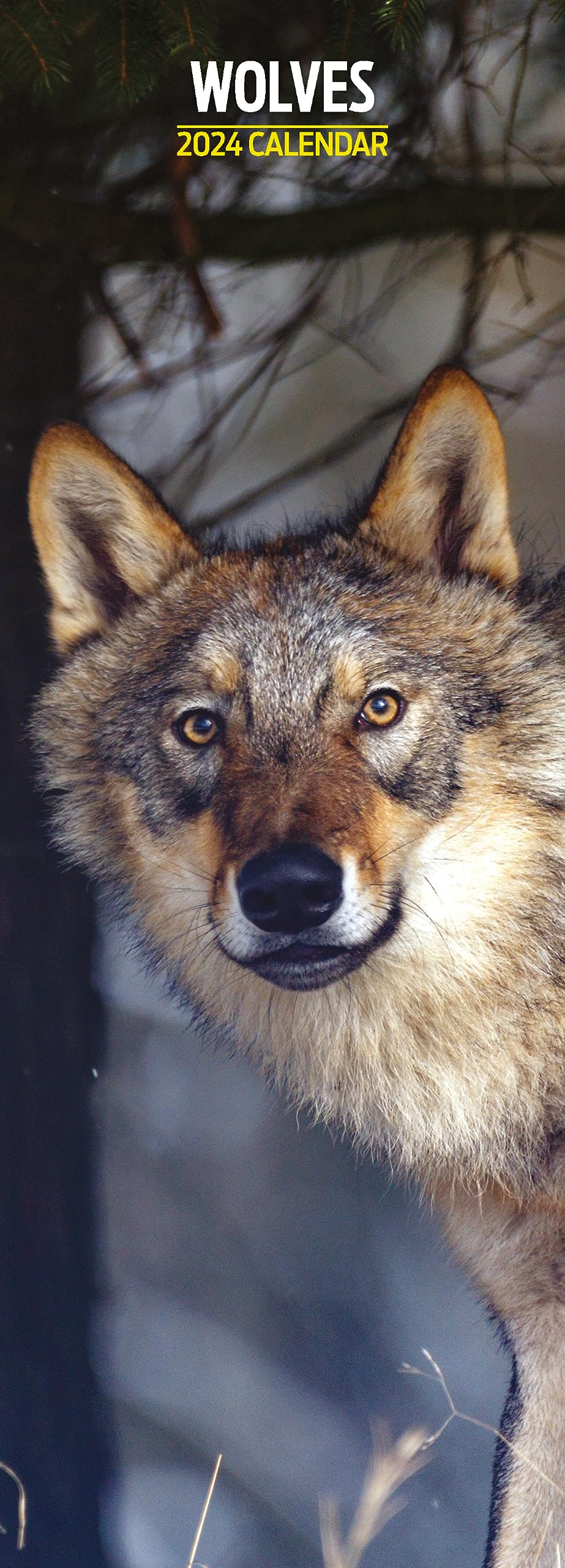Wolves Slim 2024 Calendar