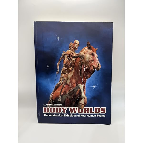 Body Worlds - The original exhibition of real human bodies
