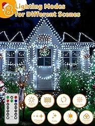 BrightChristmas Christmas Lights with 600 LED 196