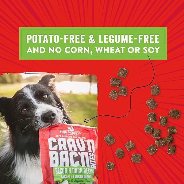 STELLA & CHEWY’S CRAV’N BAC’N DOG TREATS BACON & DUCK RECIPE, 8.25 OZ. BAG