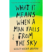 What It Means When a Man Falls from the Sky: Stories book cover What It Means When a Man Falls from the Sky: Stories book cover