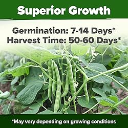HOME GROWN