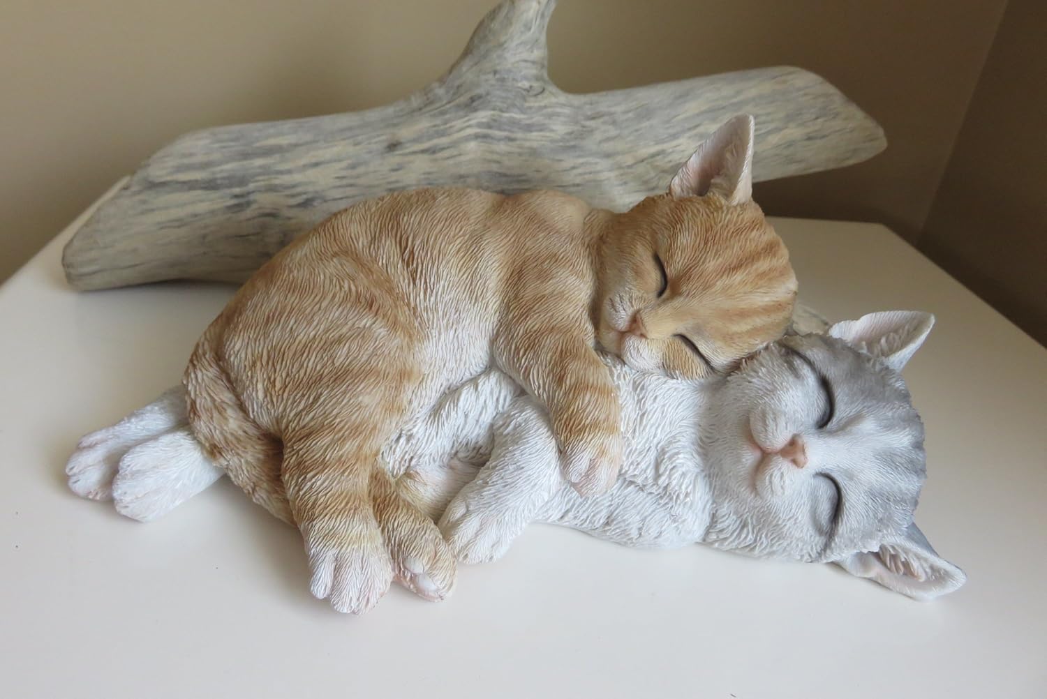 how to get a baby kitten to sleep