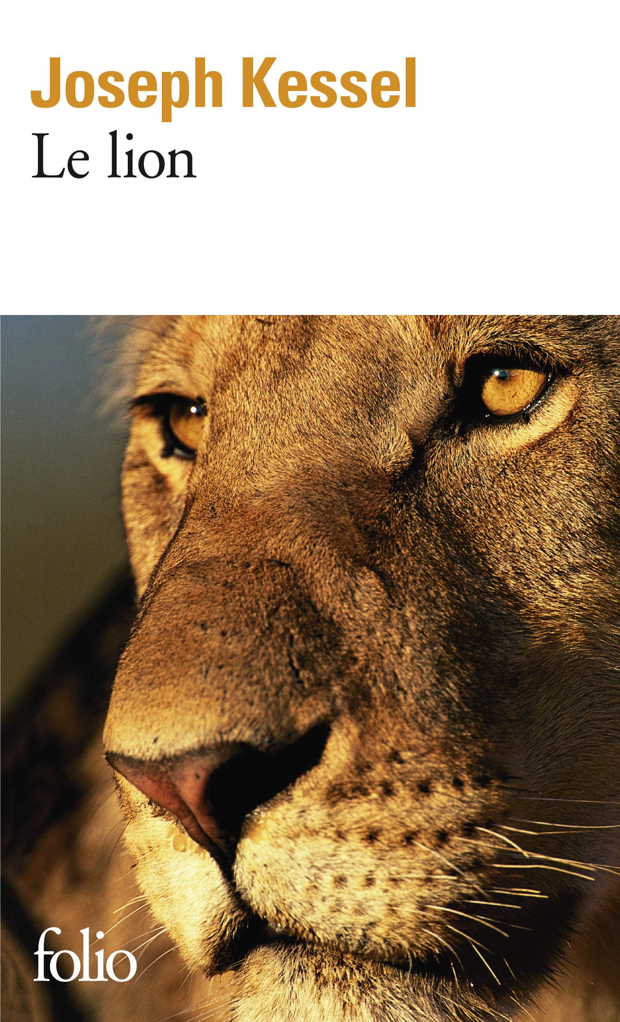 Amazon Fr Le Lion Kessel Joseph Livres