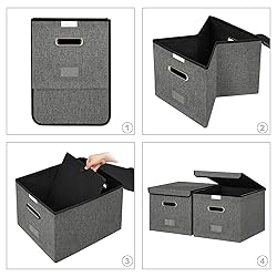 Forlogic File Organizer Box with Lid, Collapsible