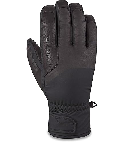 スキー・スノーボードアクセサリー Dakine Team Phoenix GORE-TEX Glove Kazu Amazon.com : Dakine Team Phoenix Gore-Tex Glove - Kazu