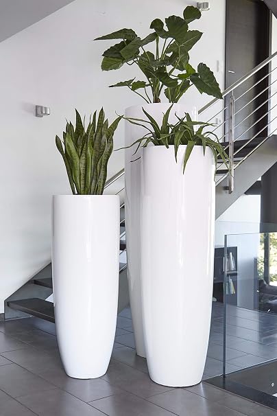 Pflanzkubel Indoor Xxl