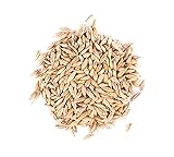 Thunder Acres Barley Seed - Certified Organic