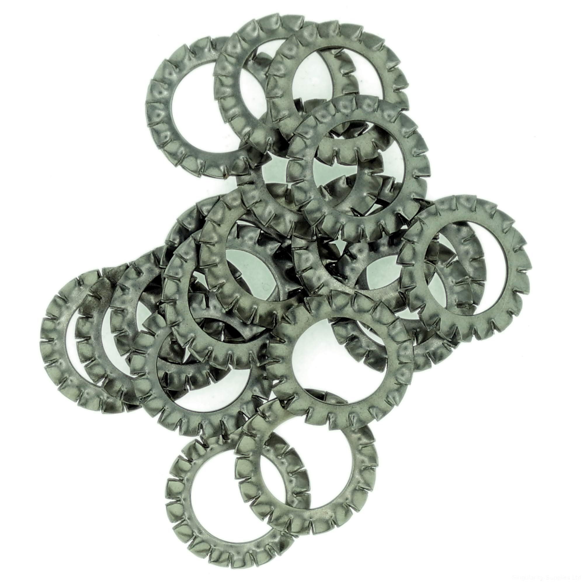 M12 (12mm) Shakeproof Washer (External Serrated) - Stainless Steel (A2) (Pack of 20) โ image 1