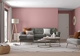 Dulux Simply Refresh Tester Paint Pressed Petal 30ML view 4