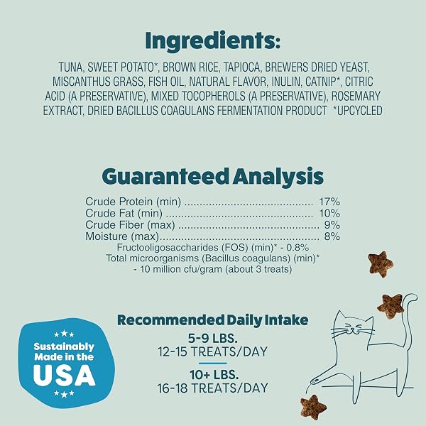 SHAMELESS PETS CRUNCHY CAT TREATS – CATNIP TREATS FOR CATS WITH DIGESTIVE SUPPORT, KITTEN TREATS WITH REAL INGREDIENTS, NATURAL & HEALTHY FLAVORED FELINE SNACKS – FINTASTIC CATNIP, 1-PK