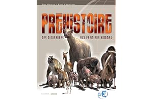 Préhistoire des dinosaures aux premiers hommes