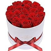 Prifroti 17 Flowers in a Luxury Suede Box, Birthday Gifts for Women, Preserved Flowers, Mothers Day Roses Gift for Mom, Red