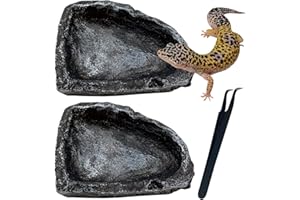 ACCELEAH Reptile Feeding Dish Water Bowls 2 Pack Food Dish Water Dish Reptile Dish with Breadworm Feeding for Dragon Leopard Gecko Lizard Spider Scorpion Chameleon(2 Pcs deep Color)