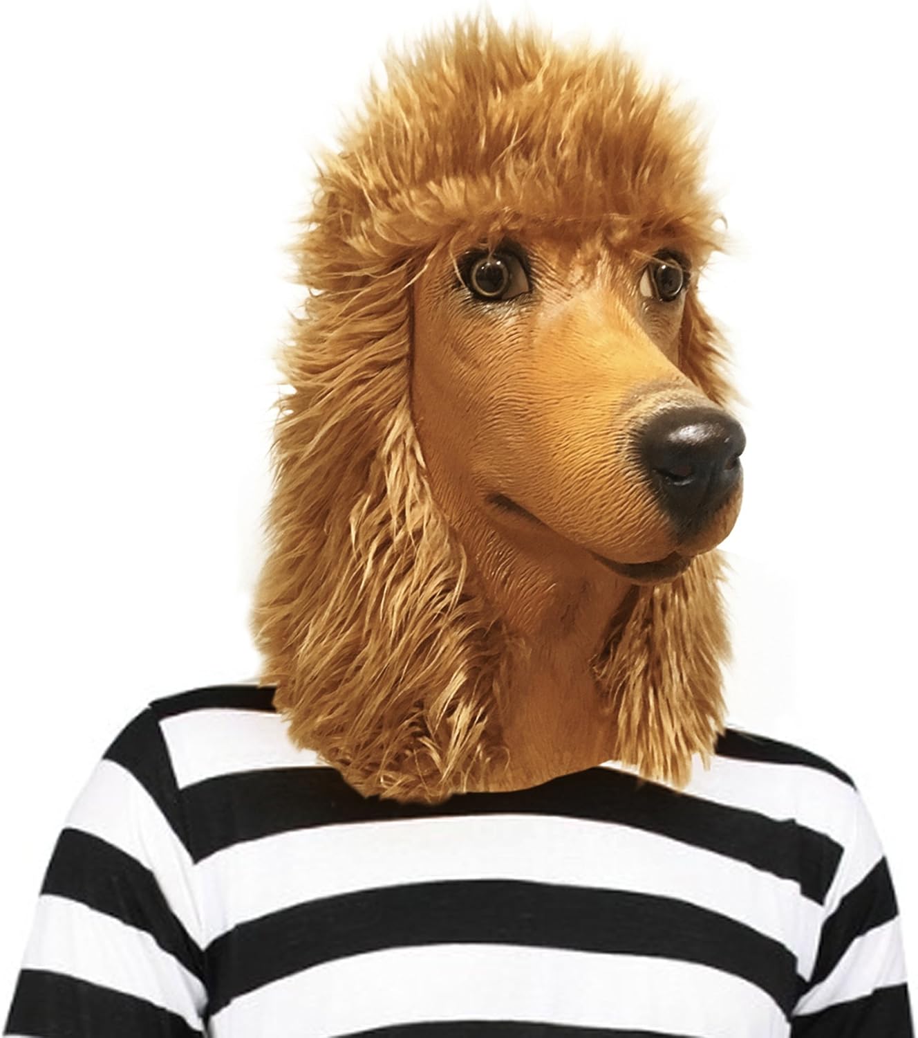 standard poodle toys