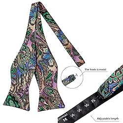 Hi-Tie Men Ties Bowtie Set Silk Necktie Bow Tie
