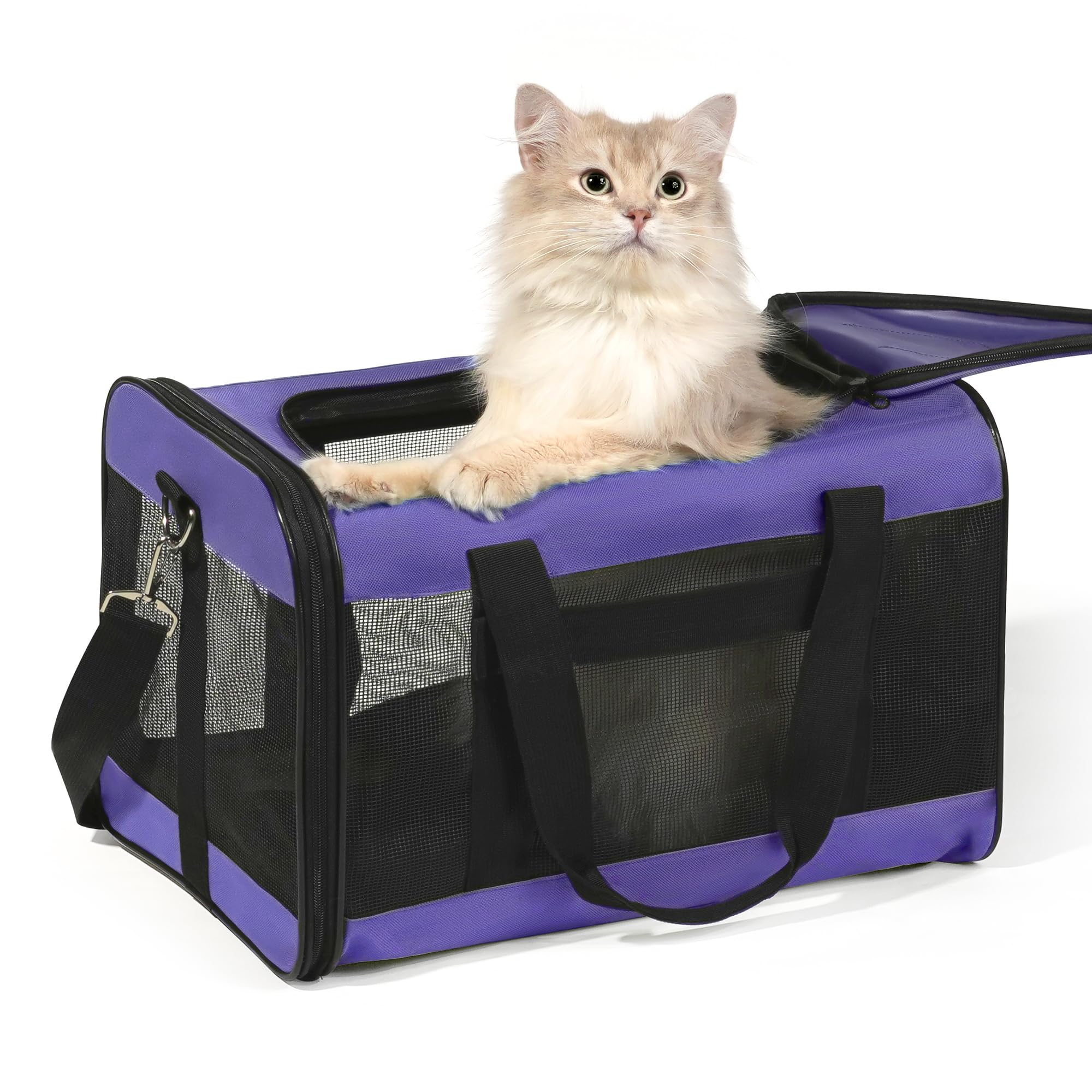 HITSLAM Pet Carrier Cat Carrier Soft Sided Pet Travel Carrier for Cats, Small dogs, Kittens or Puppies, Collapsible, Durable, Airline Approved, Travel Friendly Purple (M)