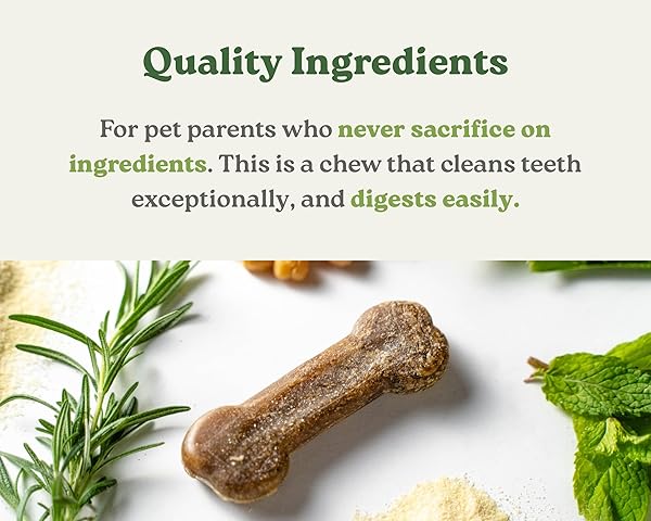 EARTHBONES DENTAL CHEWS FOR DOGS 20-50LBS, 30 BONES