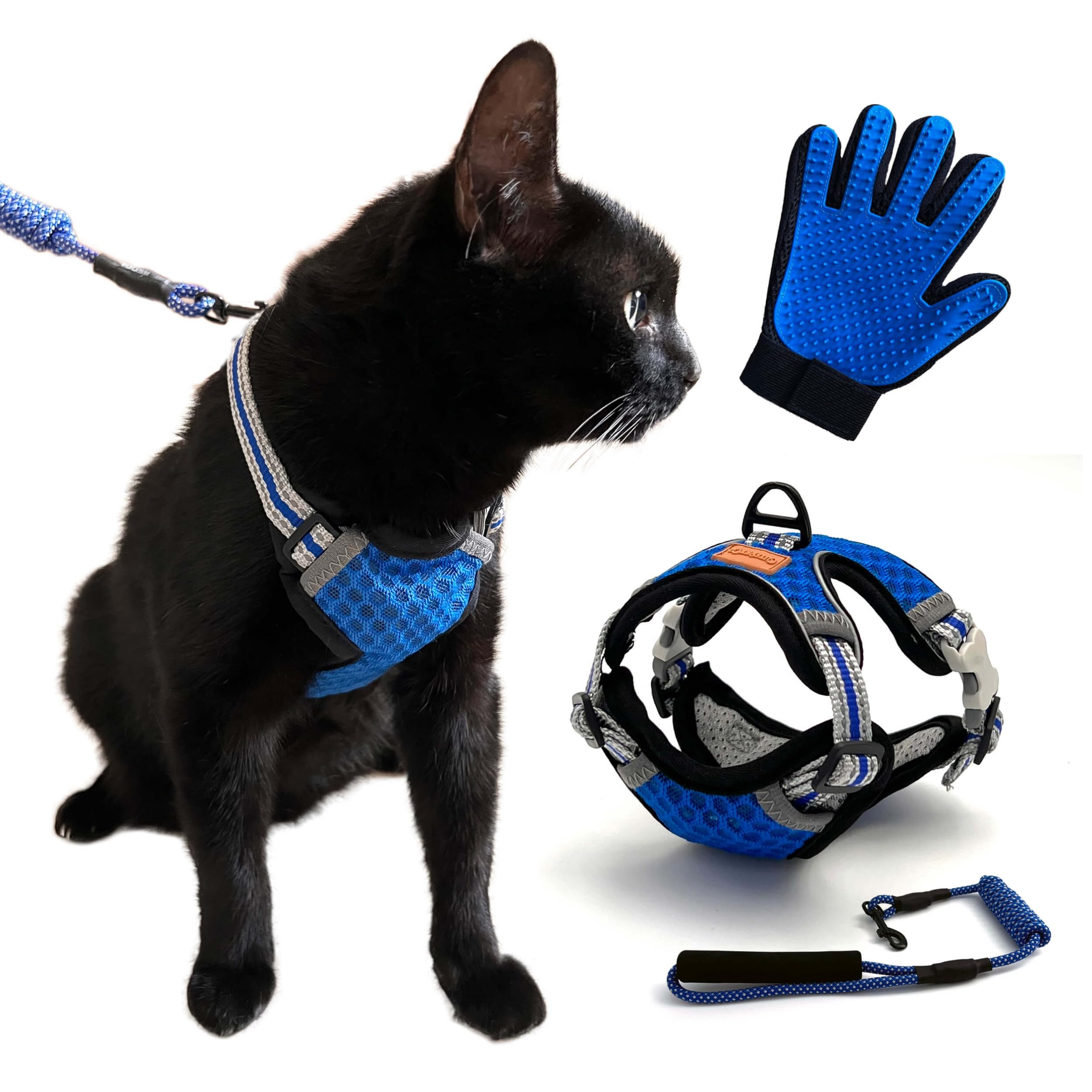CutePet - Anti-Escape Harness for Kitten, Adult Cat, Puppy, Small Dog, Rabbit with Cat Hair Glove | Adjustable Anti-Escape Harness with Lead | Breathable Mesh and Reflective Band (L, Blue)