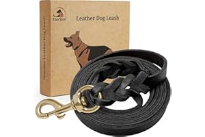 FAIRWIN Leather Dog Leash 6 Foot - Braided Best Military Grade Heavy Duty Dog Leash for Large Medium Small Dogs Training and Walking (Black, M:5/8" x5.6ft)