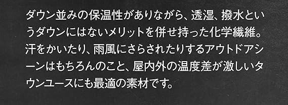 salomon whitezone jkt