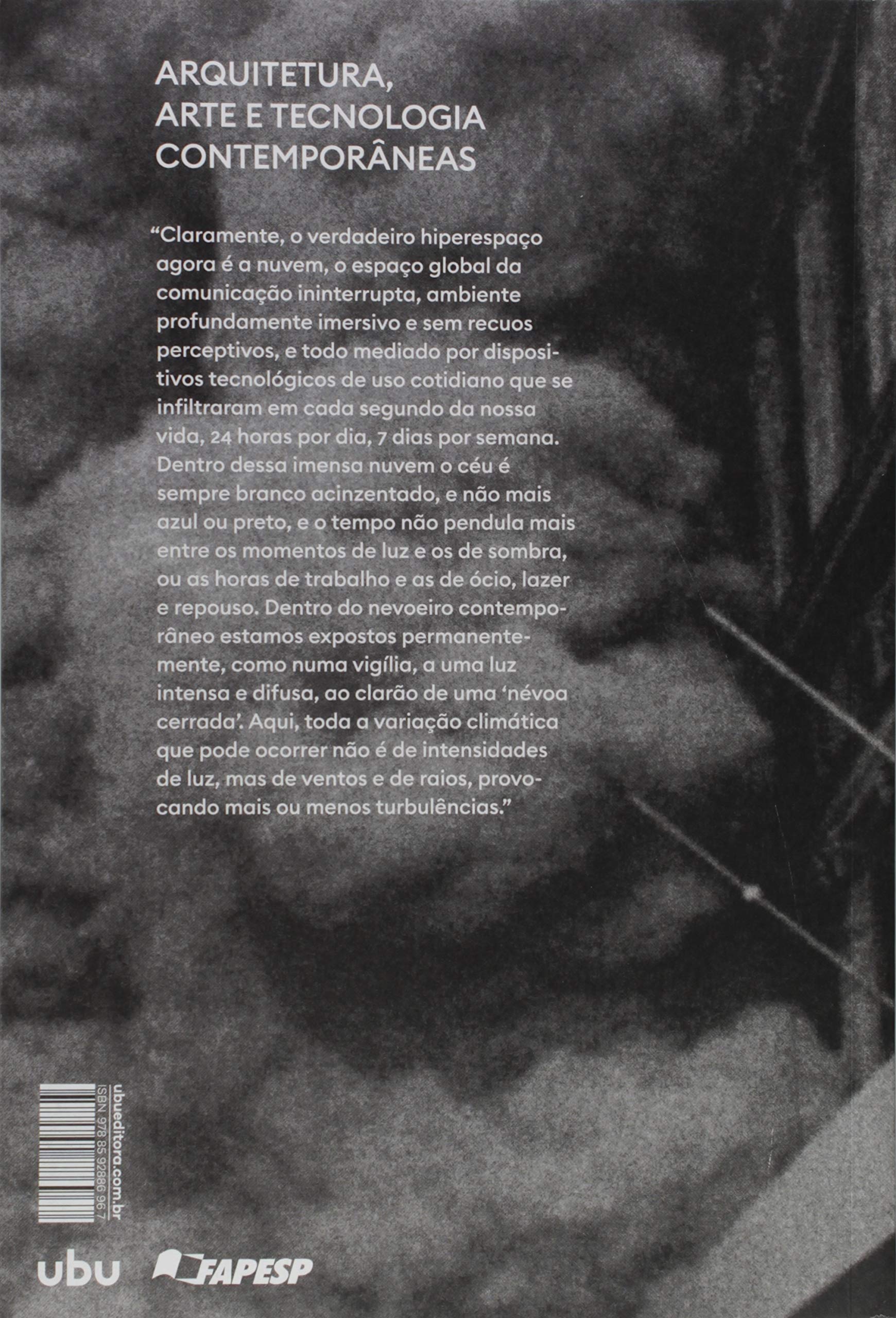 Livro 'Dentro do nevoeiro' de Guilherme Wisnik