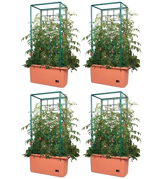 MRT SUPPLY (4 10 galones Auto riego Tomate Trellis Jardín Sistemas ...