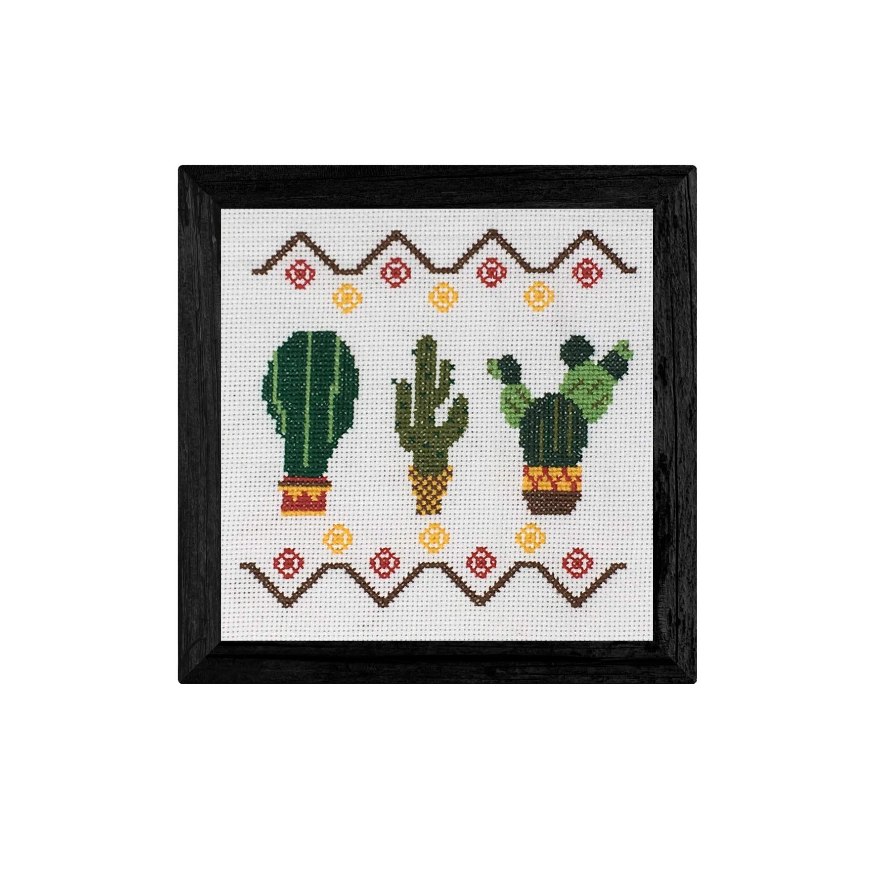 Cross Stitch Kit | Cactus | 14ct Aida Fabric 25cm x 25cm | Embroidery Threads | Cross Stitch Scheme | Ideal for Beginners | By Delicatela