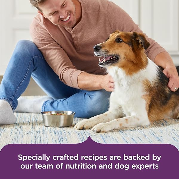 NUTRISH RACHAEL RAY WET DOG FOOD VARIETY PACK HEARTY RECIPES, 6-8 OZ. TUBS, 2 COUNT