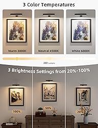 VOLISUN Picture Lights for Wall, Rechargeable