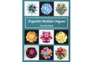 Exquisite Modular Origami
