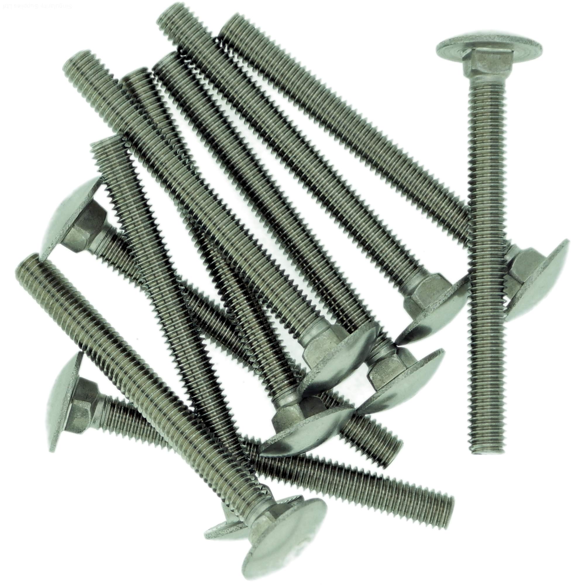 M6 (6mm x 16mm) Cup Square Carriage Bolt (Fully Threaded) - Stainless Steel (A2) (Pack of 10)