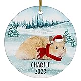 Santa Hat and Scarf Welcome Winter Golden Hamster