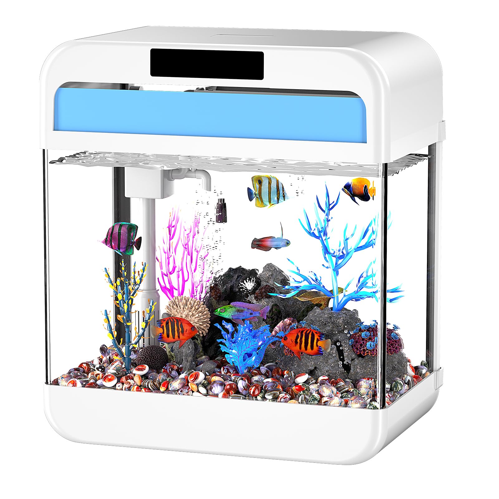 Photo 1 of Fish Tank Aquarium 2.2 Gallon with Adjustable 3 Color Light Bead Self Cleaning 3 in 1 Pump with Filteration, Oxygenation, Water Circulation Triple Function, HD Heat Bending Glass, Leak-Proof Base