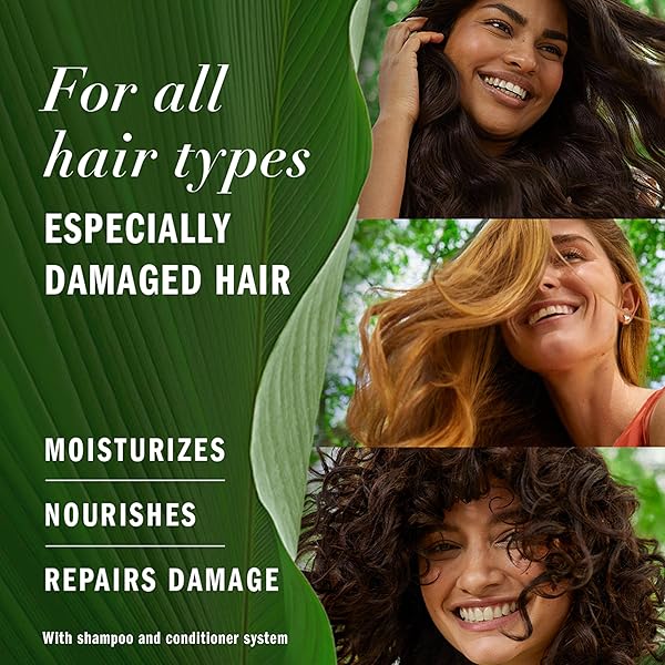 HERBAL ESSENCES BIO RENEW REPAIR ARGAN OIL HAIR CONDITIONER – 20.2 FL OZ