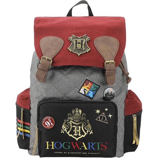 Amazon.com | Harry Potter Hogwarts Alumni Juniors Knapsack  display picture 2