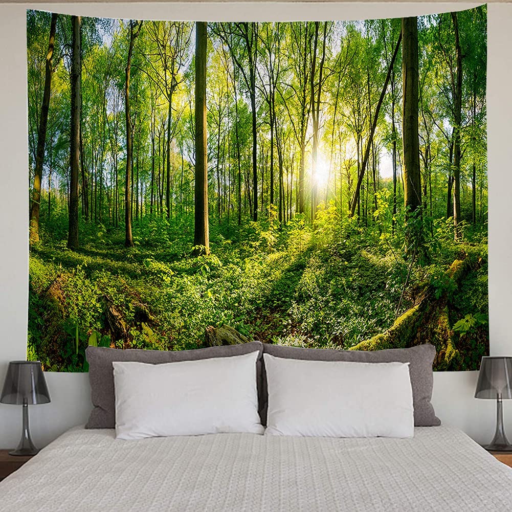 BCKAKQA Forest Tapestry Wall Hanging Green Tree and Sunshine Wall Tapestry Nature Landscape Tapestries for Bedroom Dorm Living Room Home Decoration Background Wall Blanket (150X200cm,59"X79")