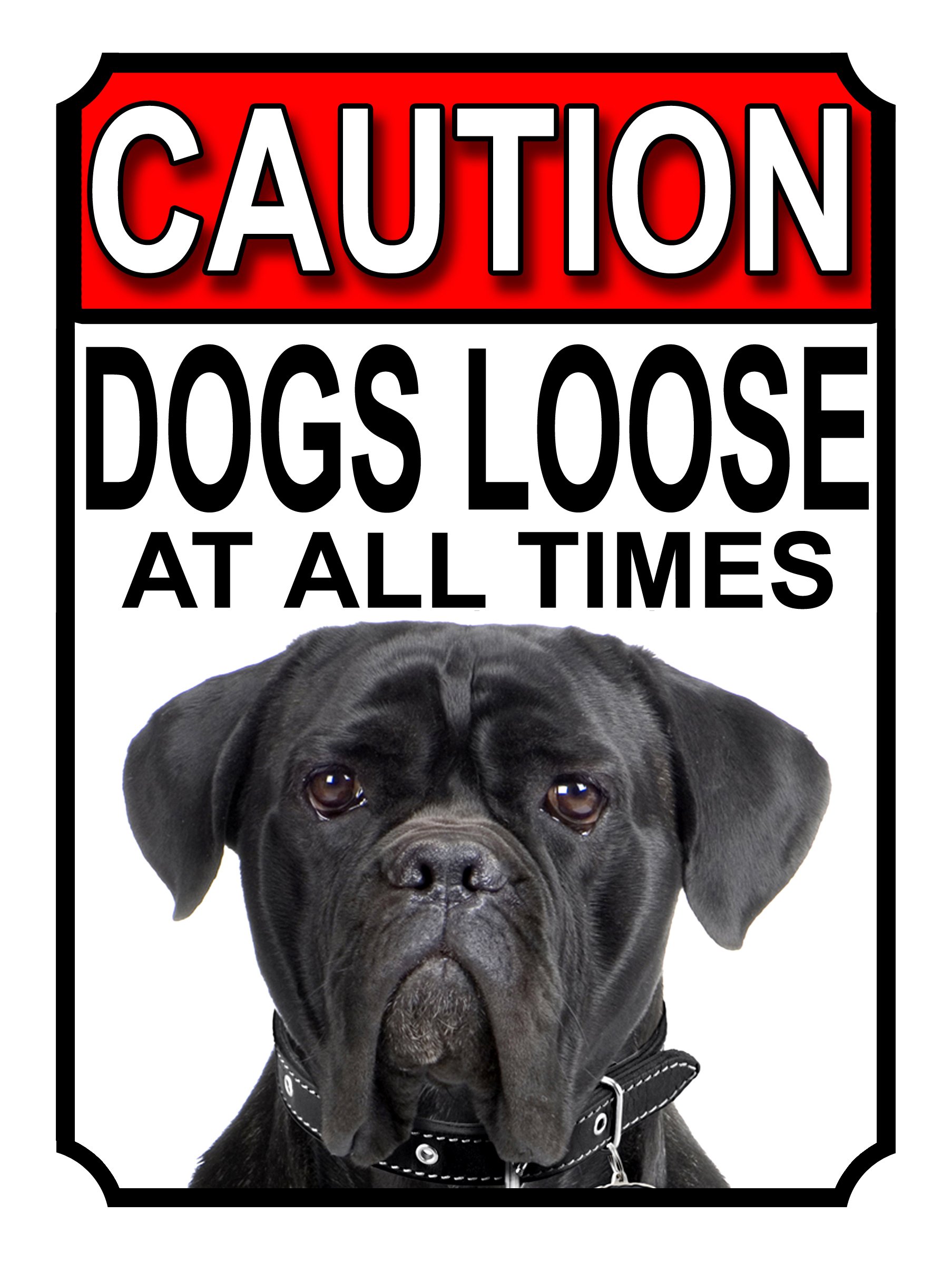 CAUTION DOGS LOOSE AT ALL TIMES METAL GATE SIGN CANE CORSO 200MM X 150MM (1191H1)