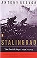 Stalingrad: The Fateful Siege: 1942-1943
