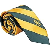 Desert Cactus Baylor University Neck Tie BU Bears 100% Polyester Necktie with Logo, Officially Licensed
