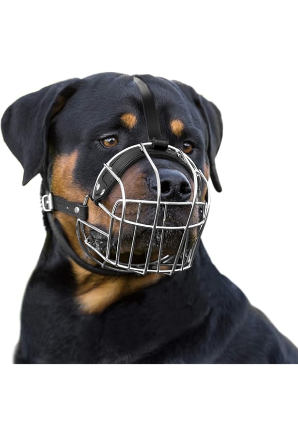 dog muzzle for american bully