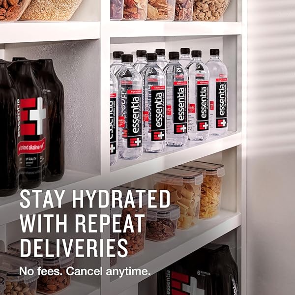 ESSENTIA BOTTLED WATER, 1 LITER, PACK OF 6 BOTTLES; 99.9% PURE, INFUSED WITH ELECTROLYTES FOR A SMOOTH TASTE, PH 9.5 OR HIGHER; IONIZED ALKALINE WATER