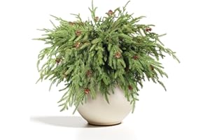 WBHome 12 Pcs Christmas Norfolk Pine Branches with Pine Cones - 18" Real Touch Norfolk Pine Branch- Artificial Xmas Branches Plants Pine Needles for DIY Craft Garland Home Garden Decor