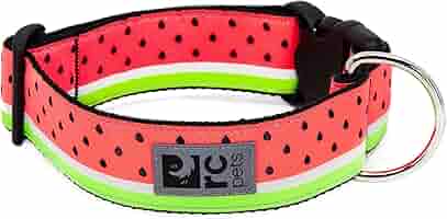 rc pets dog collars