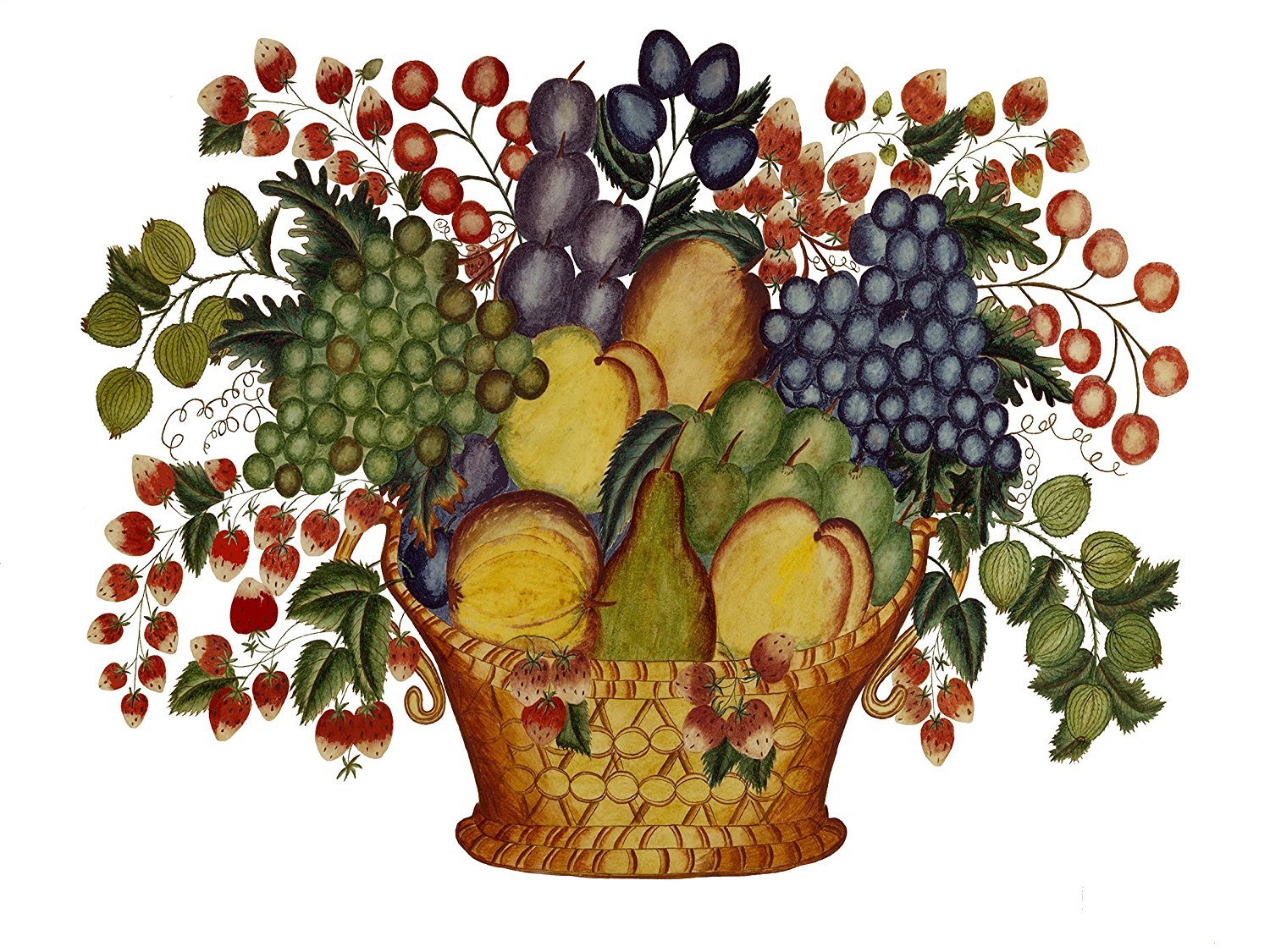 GRAPES PEACH strawberry plum pear Tile Mural Kitchen Backsplash Ceramic 10x8