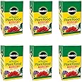 Miracle-Gro All Purpose Plant Food Plant Fertilizer (6 Pack), 3 lb