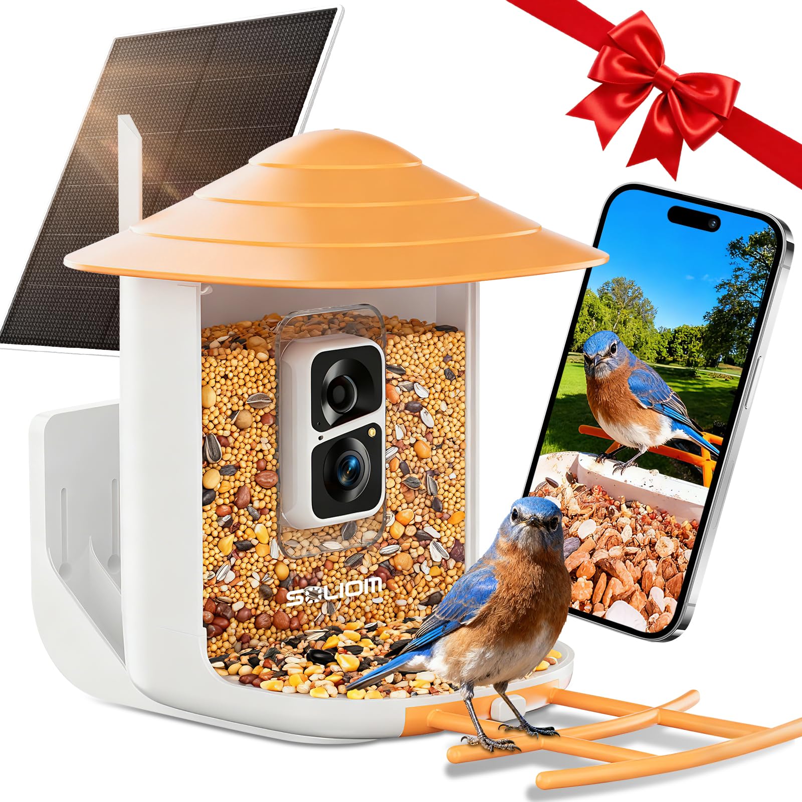 Photo 1 of SOLIOM BF09 Bird Feeder with Camera Wireless Outdoor,Smart Feeder Camera with AI Identify Species,Backyard Watching Gift,Auto Record Bird Video,Instant Notifications, US