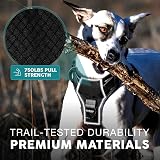 Embark Pets Urban Dog Harness No-Pull Front Back Clips Adjustable view 6