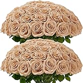 Carlita‘s Blooms 50pcs Beige Roses Artificial Flowers Bulk Fake Roses Silk Flower with Stems Realistic Flowers for Wedding Centerpiece Party Birthday Decor